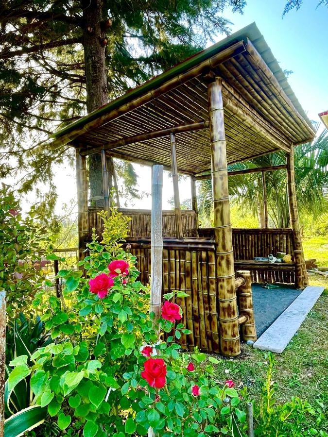 Villa In شاكفي المظهر الخارجي الصورة